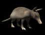 armadillo_looking_up_sb.gif