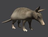 armadillo_looking_up_lc.gif
