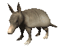 armadillo_blinking_sc.gif
