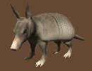 armadillo_blinking_mc.gif