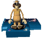monkey_spin_sc.gif
