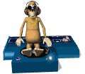 monkey_spin_mw.gif