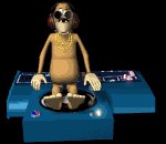 monkey_spin_lb.gif