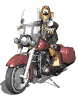 harleybuff_sw.gif