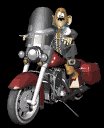 harleybuff_mb.gif