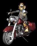 harleybuff_lc.gif