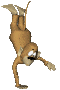 handstand_sc.gif