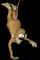 handstand_mb.gif