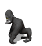 gorilla_standing_up_sw.gif