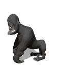 gorilla_standing_up_mw.gif