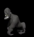 gorilla_standing_up_mc.gif