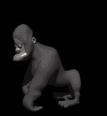 gorilla_standing_up_lc.gif