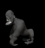 gorilla_standing_up_lb.gif