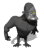 gorilla_looking_around_tw.gif