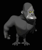 gorilla_looking_around_lb.gif