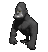gorilla_getting_wild_tc.gif