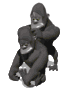 gorilla_cleaning_one__a_sw.gif