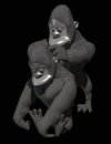 gorilla_cleaning_one__a_mb.gif