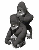 gorilla_cleaning_one__a_lw.gif