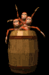 barrelomonkeys_sb.gif