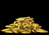 bananas_lb.gif