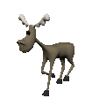 moose_walking_mc.gif