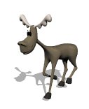 moose_walking_lw.gif