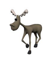 moose_walking.jpg