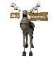 moose_no_hunting_sc.gif