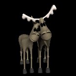 moose_love_lc.gif