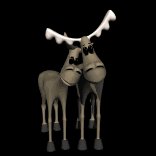 moose_love_lb.gif