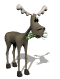 moose_eating_sw.gif