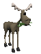 moose_eating_sc.gif