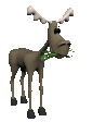 moose_eating_mc.gif