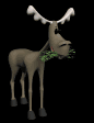 moose_eating_mb.gif