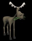 moose_eating_lb.gif