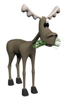 moose_eating.jpg