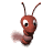 shrimp_swimming_tw.gif