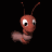 shrimp_swimming_tb.gif