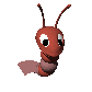shrimp_swimming_sc.gif