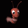 shrimp_swimming_mb.gif