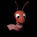 shrimp_swimming_lc.gif