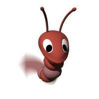 shrimp_swimming_hr.jpg