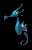 seahorse_swimming_tb.gif