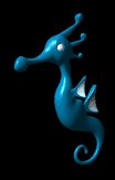 seahorse_swimming_lc.gif