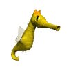 seahorse_swim_mw.gif