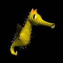 seahorse_swim_lb.gif