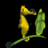 seahorse_hangon_sb.gif