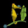 seahorse_hangon_mc.gif
