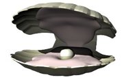 pearl_shining_hr.jpg